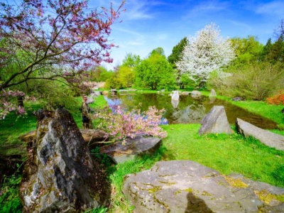 Będzie dżungla w Łodzi. Ogród botaniczny ma nie ucierpieć