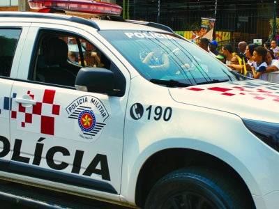 Kradzieże i rozróby w brazylijskim mieście. Policja aresztowała... małpkę kapucynkę