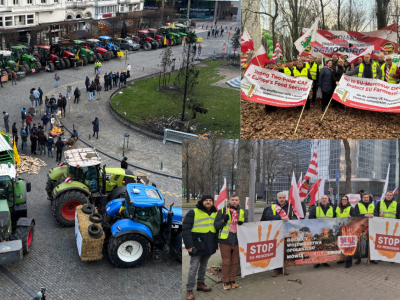 Protest rolników w Brukseli (18.12.2025): silna delegacja polskich rolników w walce o europejskie rolnictwo (RELACJA)