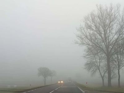 IMGW ostrzega przed gęstą mgłą. Alert dla powiatu wysokomazowieckiego