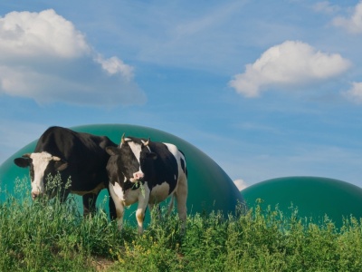 Polski biometan przyspiesza: miliardowe pieniądze i projekt na skalę europejską