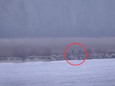 Trzech rosyjskich strażników weszło na terytorium NATO. Estonia reaguje