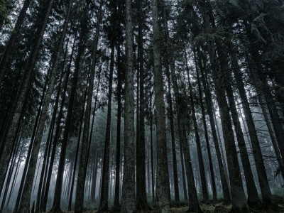 Prehistoryczne zombie. Pochówek z Niemiec pokazuje, jak z nimi walczono