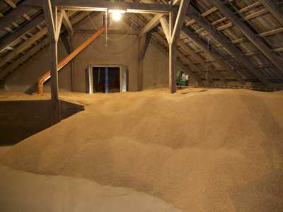 Rosnące zapasy w Rosji i rekordowe zbiory w Chinach wywierają presję na ceny pszenicy