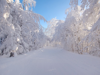Kiedy wypada pierwszy dzień zimy? Są aż trzy daty