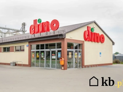 Dziennikarze ujawniają kulisy Dino. Tak wygląda droga owoców i warzyw na półkę