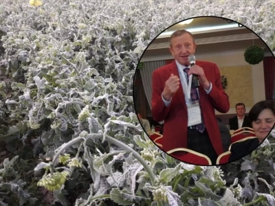 „Ubezpieczenie to nie łaska to umowa