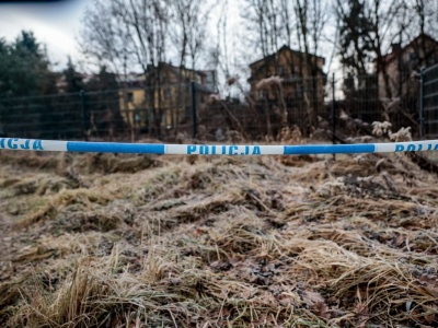 Tragedia w Jeleniej Górze. Stanowcze oświadczenie MSWiA ws. zabójstwa 11-latki