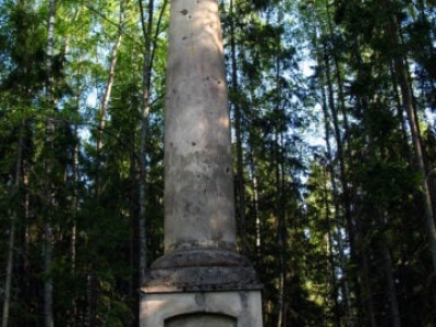 Okruchy historii. Kolumny na cześć Konstytucji 3 maja