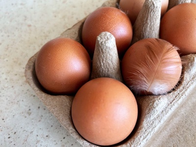 Gdzie wyrzucić wytłaczanki po jajkach? Odpowiedź nie zawsze jest taka sama