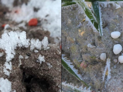 Jakie nawozy można aplikować zimą? Istnieje co najmniej kilka możliwości