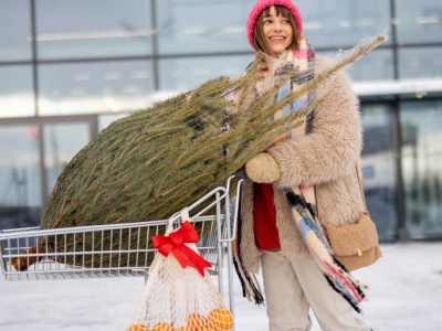 Gdzie najtaniej kupić choinkę? Sprawdziliśmy ceny