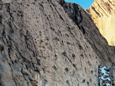 Widok wprawił w osłupienie. 