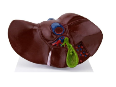 Hepatyt – czym jest i dlaczego warto o nim mówić?