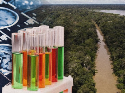 Co dobrego działo się w nauce w 2025 r.? Same pozytywne historie