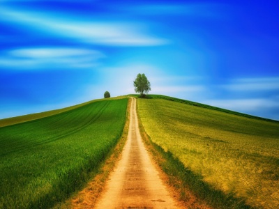 OPR-ów już nie będzie. Ziemia z wielkich dzierżaw tylko dla spółek KOWR i gospodarstw rodzinnych