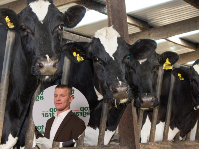 Marcin Żuraszek: „Krowy oddadzą nam dobrostan mlekiem”. Jak poprawić opłacalność produkcji?