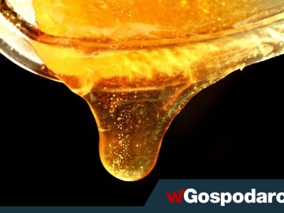 Popularny miód zniknie ze sklepów