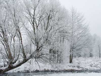 Czy to będą białe święta? Jest duża szansa na śnieg w Wigilię