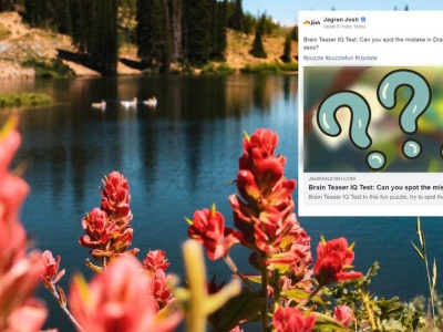 Znajdź błąd na obrazku. Masz tylko pięć sekund. To zagadka dla najlepszych!