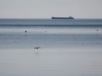 Szwedzi weszli na pokład rosyjskiego statku. Co znaleziono?