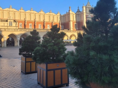 166 mln zł na zieleń. Kiedy Kraków zobaczy realne zmiany?