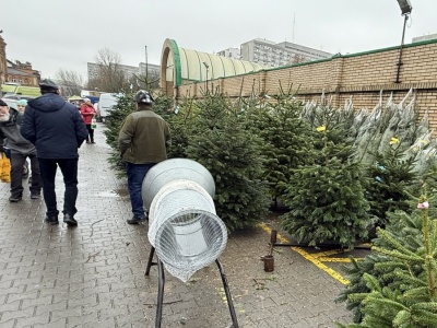 Politycy PiS punktują rząd za drożyznę. 