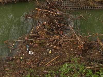 Awantura o bobry na Wilanowie. Zbudowały tamę m.in. ze śmieci