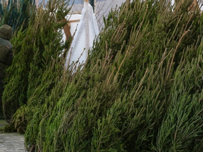 Czesi przed świętami przyjeżdżają na zakupy w Polsce. To kupują taniej