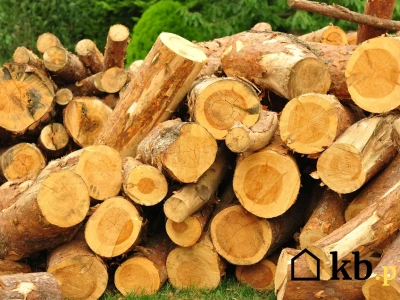 Palenie w kominku tą metodą daje nawet 30% więcej ciepła. To dzięki mniejszym stratom