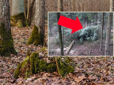 Leśnicy pokazali, co zastali w lesie tuż przed świętami. 