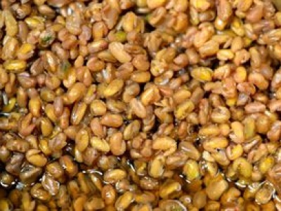 Zaparzam i piję ją rano i wieczorem. Czuję się lekko, a kilogramy lecą w dół