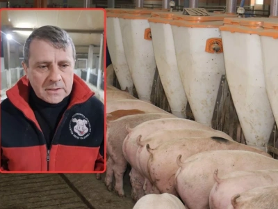 Rolnicy dostali „prezent” na Święta. 