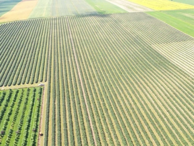 Czy będą dopłaty po 2027 roku? Sprawa rozstrzygnie się w ciągu najbliższych 9-10 miesięcy