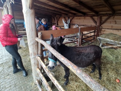 Żywa szopka w Sandomierzu