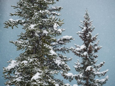 We wtorek sypnie śniegiem? To możliwe!