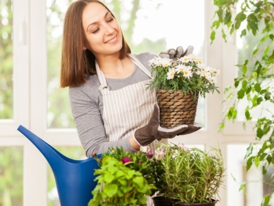 Nie wszystkie rośliny lubią podlewanie herbatą. Do tych możesz lać bez obaw