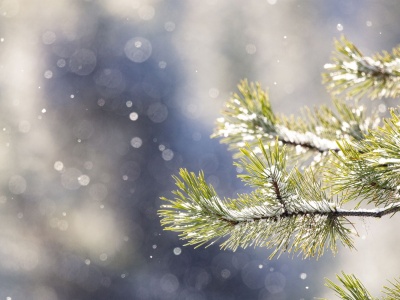 Święta będą mroźne, a w Wigilię na południu możliwy śnieg