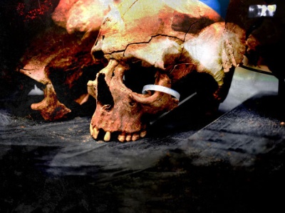 Efekt Nawrockiego? Ukraina zapewniła, że udzieli pozwoleń na dalsze ekshumacje