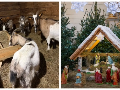Świąteczna atmosfera w skansenie. Żywa i tradycyjna szopka w Muzeum Rolnictwa w Ciechanowcu