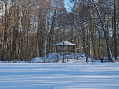 Kiedyś to były zimy… Czy całkowicie zapomnimy o opadach śniegu?