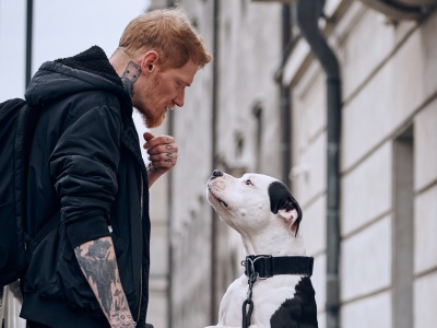 Pies i jego człowiek. 