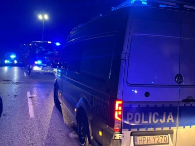 Chciał ominąć łosia, zjechał z drogi do rowu. Ranne trzy osoby, w tym dwoje dzieci