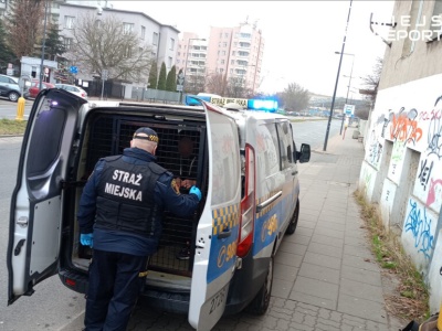 Dwaj Ukraińcy próbowali włamać się do budynku. Zostali ujęci przez strażników miejskich. Policja wnioskuje o nakaz opuszczenia kraju