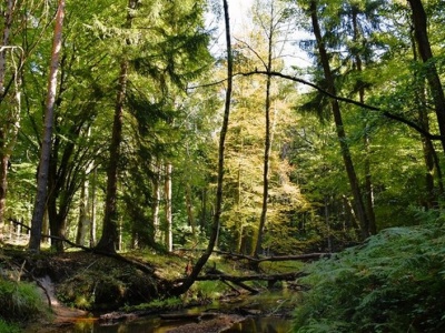 UE. Niebezpieczne „uproszczenia” prawa środowiskowego. Jest apel do premiera