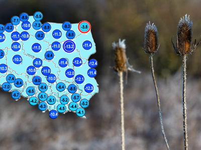 Pogoda na święta. Kilka regionów z szansą na uniknięcie mrozu