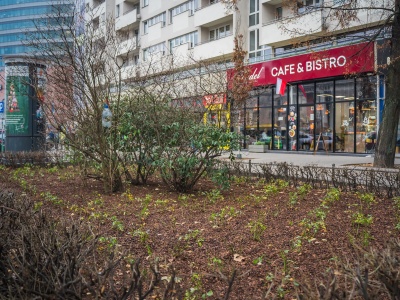 Zielone projekty z Budżetu Obywatelskiego. Jak zmienia się Warszawa?