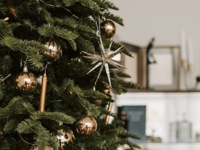 Gwiazdka z gwiazdami. Medialnie, ale i zwyczajnie