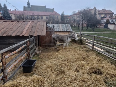 Żywa szopka w Tarnowie już otwarta