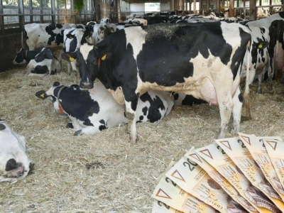 Ceny mleka spadają, ale co jest przyczyną? Odpowiada Agnieszka Maliszewska, prezes Polskiej Izby Mleka